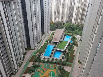 3 BHK +  1100 Sq.Ft. Apartment in Kalpataru Immensa