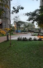 1 BHK 420 Sq.Ft. Apartment in Lodha Paradise