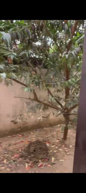 Master Plan in 3 BHK Independent House at Palam Vihar Residents Association, Palam Vihar – for Rent