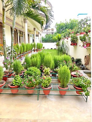 3 BHK Builder Floor – Garden View at Viraj Khand - for Rent