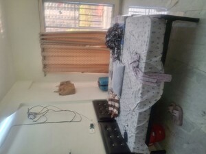  Pg For Rent in Ghansoli