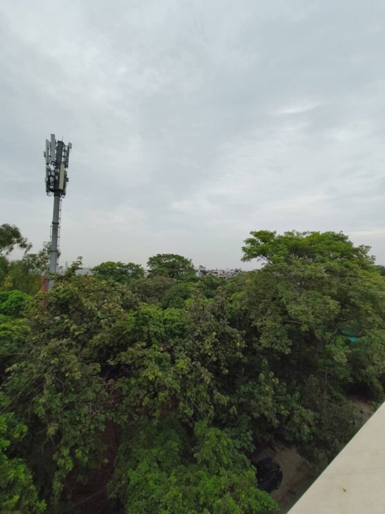 Garden, east of kailash 1 RK 600 Sq.Ft. Builder Floor In East Of Kailash Delhi 10653911