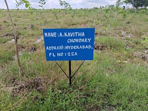  Plot For Sale in Jyothi Nagar