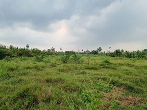  Land For Sale in Bolligudem