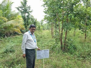  Land For Sale in Yadagirigutta