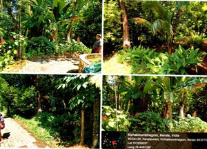  Land For Sale in Angamaly