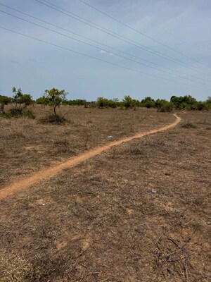 Plot Area in  Plot at Paiyanur – for Sale