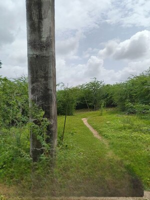  Industrial Plot – Exterior View View at Dipanjali - for Sale