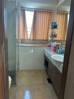 Bathroom in 3 BHK Apartment at DB Woods, Goregaon East – for Rent