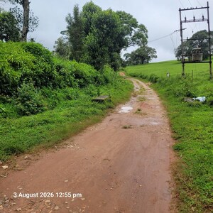  Land For Sale in Sakleshpur