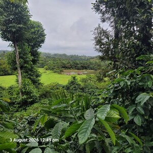 Plot Area in  Land at Sakleshpur – for Sale