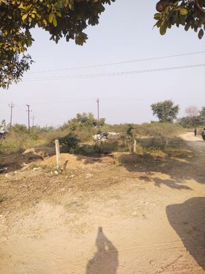 Plot Area in  Industrial Plot at Faridpur – for Sale