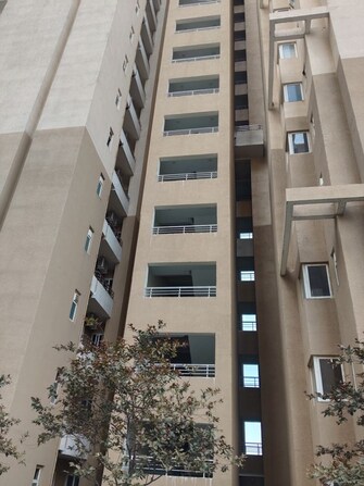 4 BHK +Apartment For Rent in Wave Amore in Sector 32, Noida