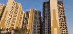 1 BHK +  424 Sq.Ft. Apartment in DB Orchid Ozone