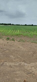 360000 Sq.Ft. Land in Sanathal