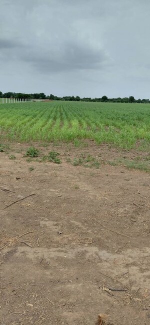  Land For Sale in Sanathal