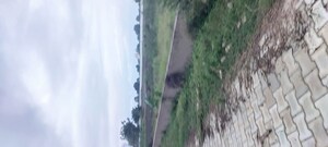 Plot Area in  Plot at Gwalior Road – for Sale