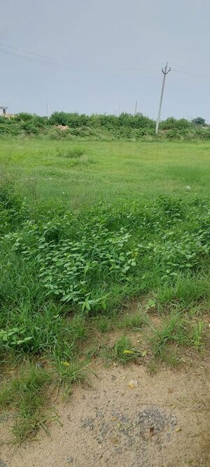 Plot Area in  Plot at Rohta – for Sale