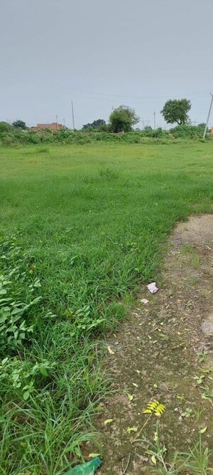 Plot Area in  Plot at Rohta – for Sale