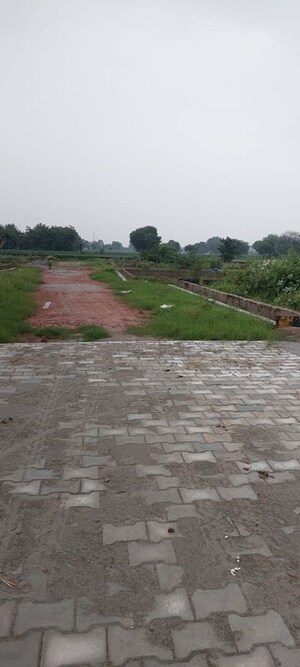  Plot For Sale in Rohta