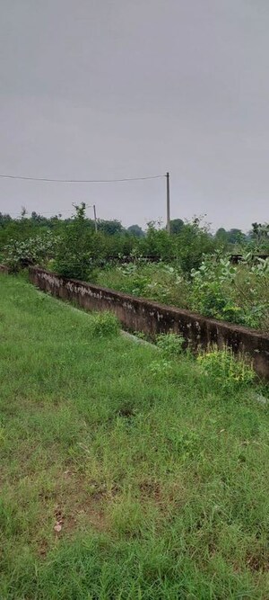Plot Area in  Plot at Rohta – for Sale