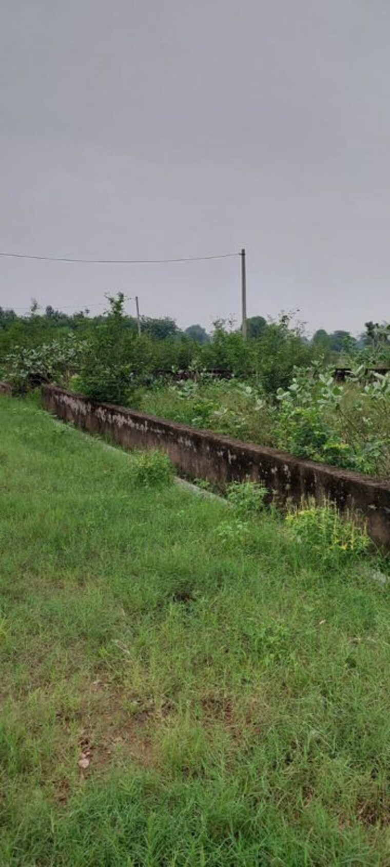 undefined, rohta  900 Sq.Ft. Plot In Rohta Agra 10655308