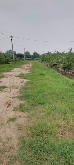 Plot Area in  Plot at Rohta – for Sale