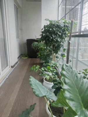 Balcony in 3 BHK Apartment at Vaishali Nagar – for Rent