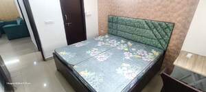 Bedroom in 1 RK Apartment at Amrapali Silicon City, Sector 76 – for Rent