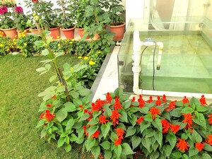 6+ BHK Villa – Garden View at Vishesh Khand, Gomti Nagar - for Sale