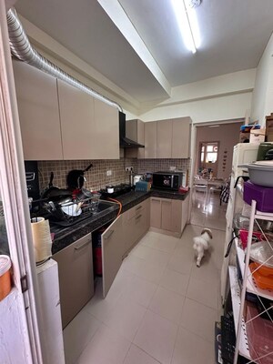 Kitchen in 3 BHK Apartment at Orris Aster Court, Sector 85 – for Sale