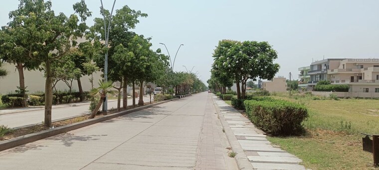 Exterior View, chandigarh airport 4 Bedroom 2380 Sq.Ft. Builder Floor In Chandigarh Airport Chandigarh 10656122