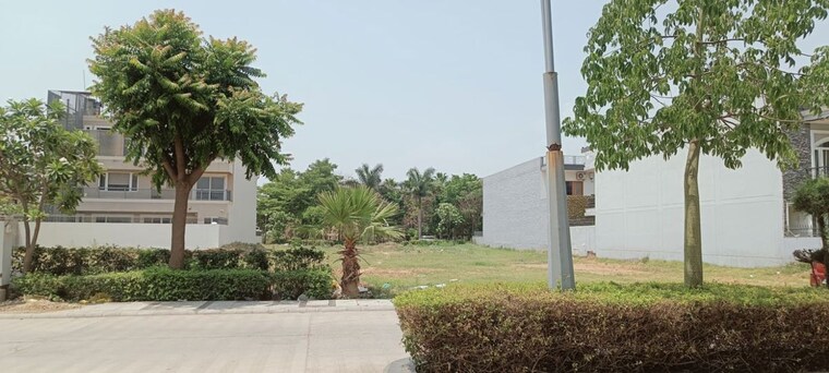 Exterior View, chandigarh airport 4 Bedroom 2380 Sq.Ft. Builder Floor In Chandigarh Airport Chandigarh 10656122