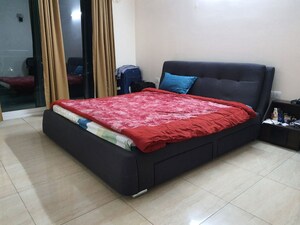 3 BHK Apartment For Rent in Gaur Sportswood, Sector 79