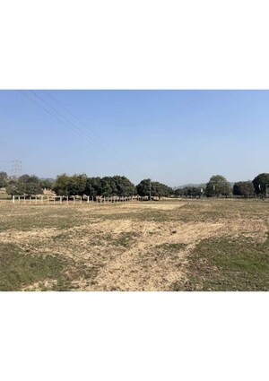 Plot Area in  Plot at Mullanpur – for Sale