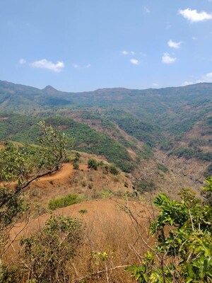 Plot Area in  Plot at Bhor – for Sale
