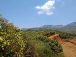 40000 Sq.Ft. Plot in Bhor