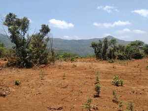 Plot Area in  Plot at Bhor – for Sale