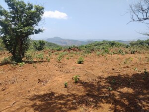 Plot Area in  Plot at Bhor – for Sale