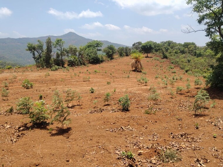 undefined, bhor  40000 Sq.Ft. Plot In Bhor Pune 10656520