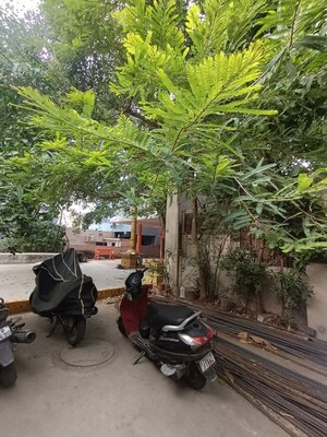  Independent House – Exterior View View at Chanda Nagar - for Sale