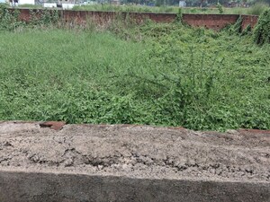 Plot Area in  Land at Gamharia – for Sale