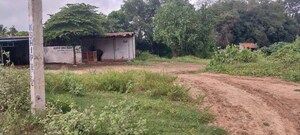  Independent House – Garden View at Anekere Beedi - for Sale