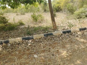 Plot Area in  Land at Visakhapatnam Port – for Sale