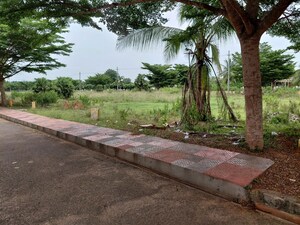 Plot Area in  Land at Buddivalasa – for Sale