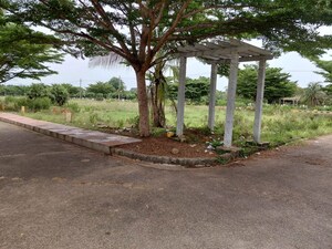  Land – Exterior View View at Buddivalasa - for Sale