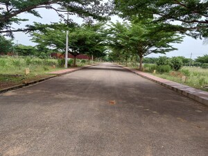  Land – Exterior View View at Buddivalasa - for Sale