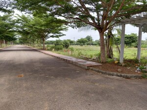  Land – Exterior View View at Buddivalasa - for Sale