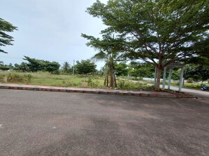 Plot Area in  Land at Buddivalasa – for Sale