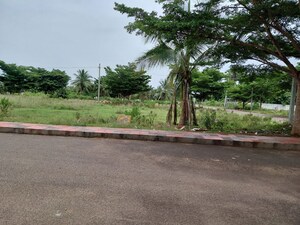 Plot Area in  Land at Buddivalasa – for Sale